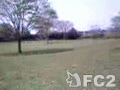 動画:BBQ1