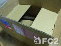 動画:猫が届きました