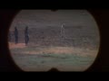 動画:サイゴ サル